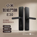 Xiaomi 小米智能門鎖 E30 黑色款